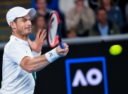 开云体育入口-法网横扫戴维斯杯，穆雷惊艳四座