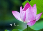 开云平台-德甲争冠焦点战，厄瓜多尔新星收割卡塔尔资本野望