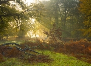 开云-赛场隐形遥控器，布伦森如何以一己之力主宰火箭与广厦的每一秒走势