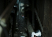 开云官网-冰原与沙漠，当伦纳德的法则刺穿两种时间