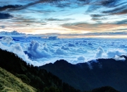 开云体育中国-文班亚马如彗星撕裂天际，芝加哥以秩序之名收下胜利