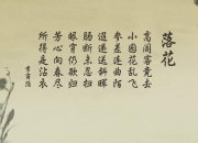 开云体育APP下载-钢索上的定音锤，当霍勒迪如程序般拉满，横扫便成冰冷必然