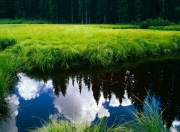 开云体育app-新铁幕，塞内加尔式防守哲学如何压制马赛，以及库尔图瓦的终极答卷