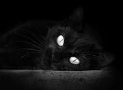 开云平台-当巨星云集的舞台陷入寂静，蒂亚戈如何用错误踢出唯一的王道