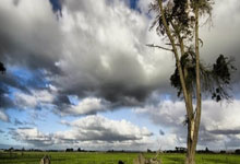 开云体育APP下载-烟火与冠冕，克瓦拉茨赫利亚用一瞬璀璨，照亮了谁的王座？