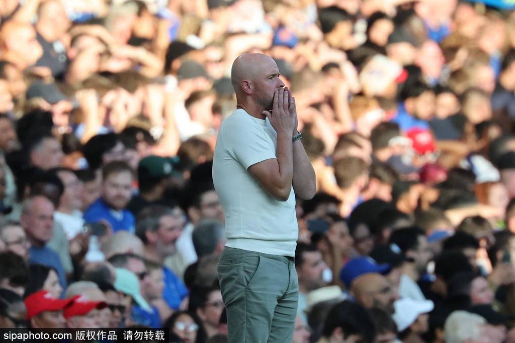 勒沃库森不敌汉堡，遭遇颓势的简单介绍