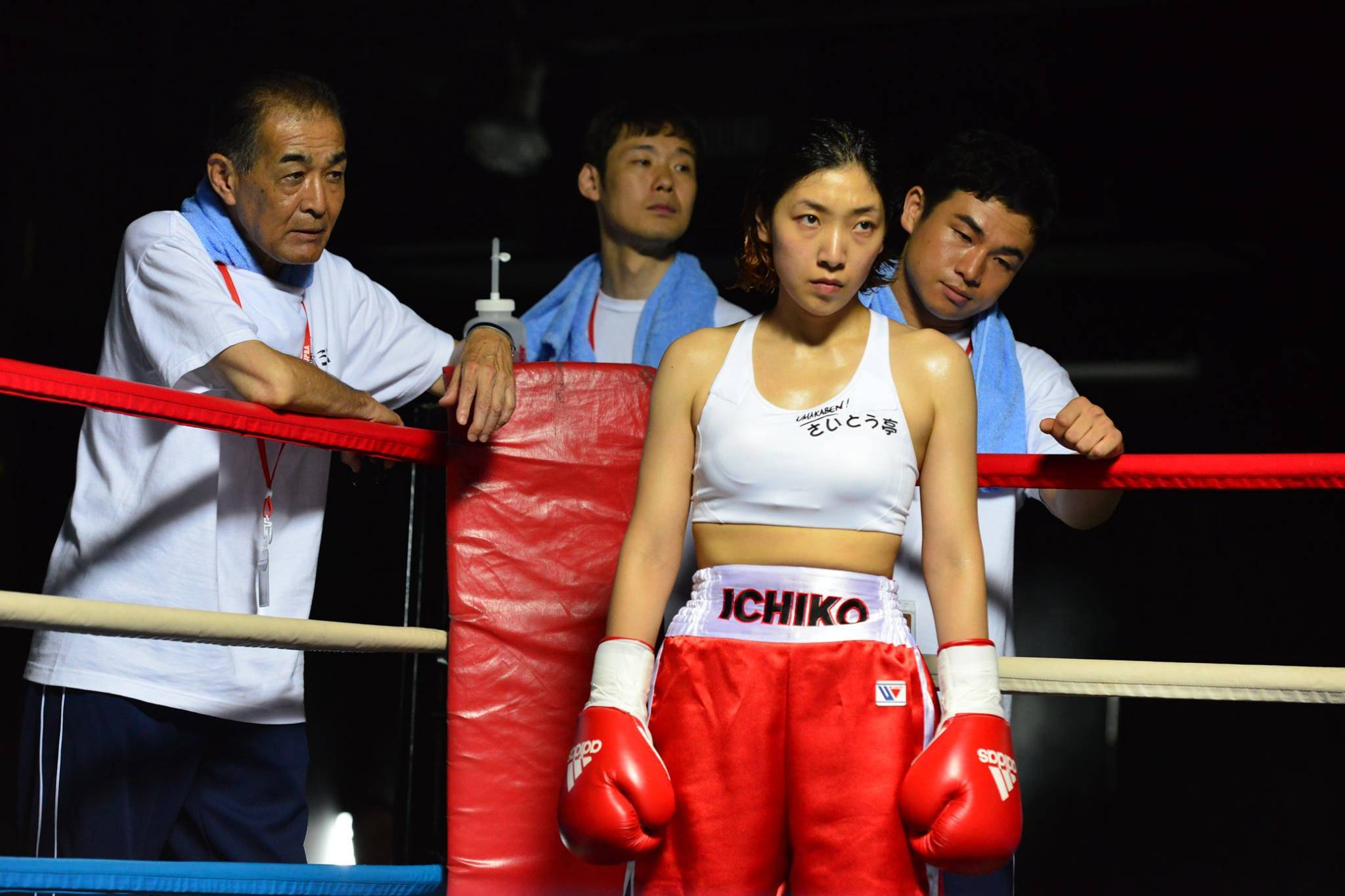 拳击热度飙升，网友热议不断