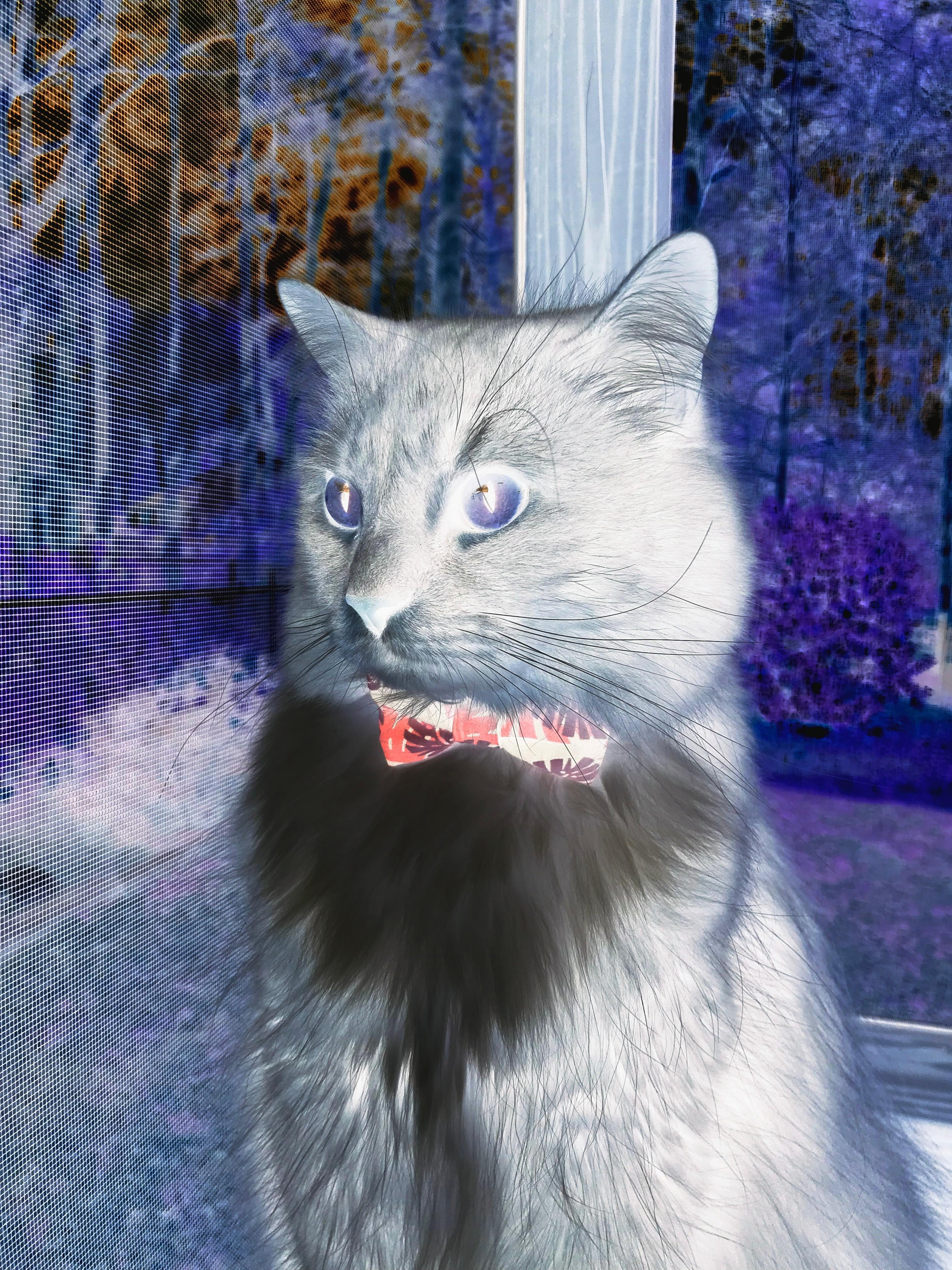 哈利伯顿化身拆墙人，雄鹿攻防全面碾压深圳，季后赛格局再添变数？