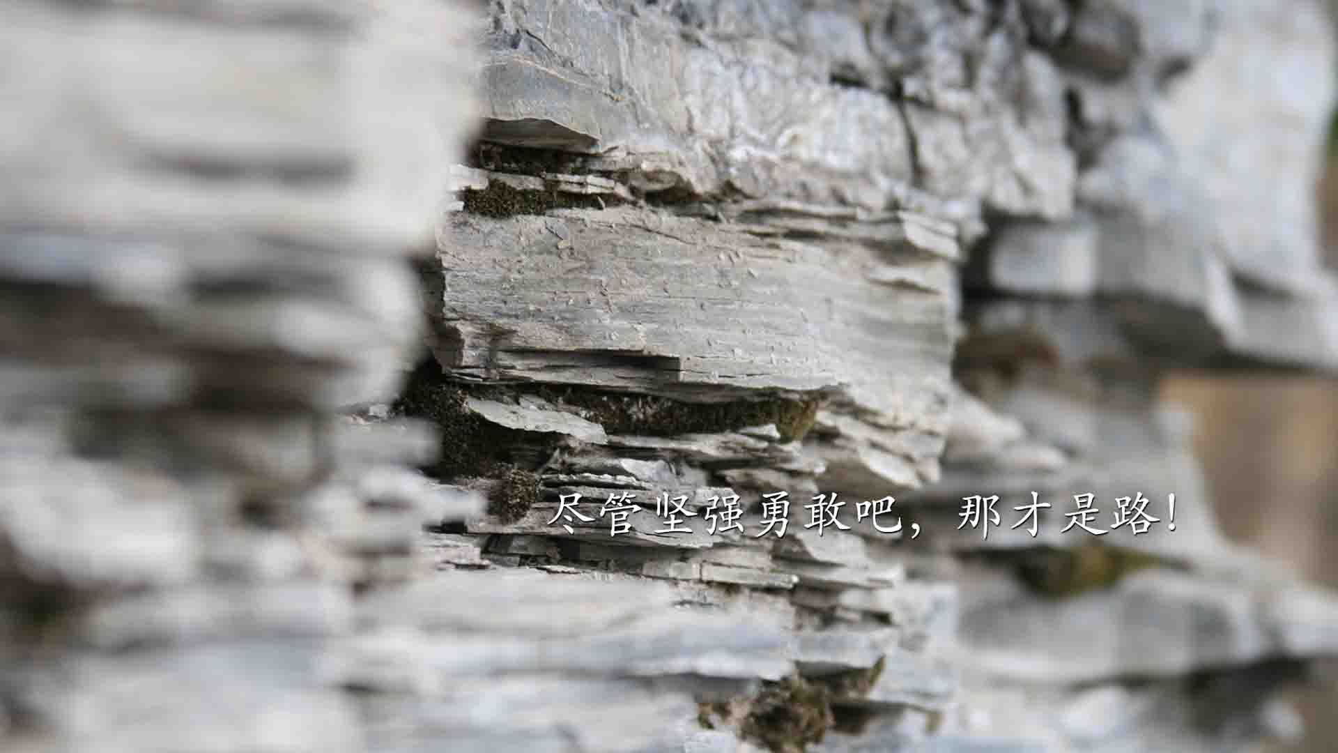 巨兽睁眼时，浓眉在抢七之夜的终极审判