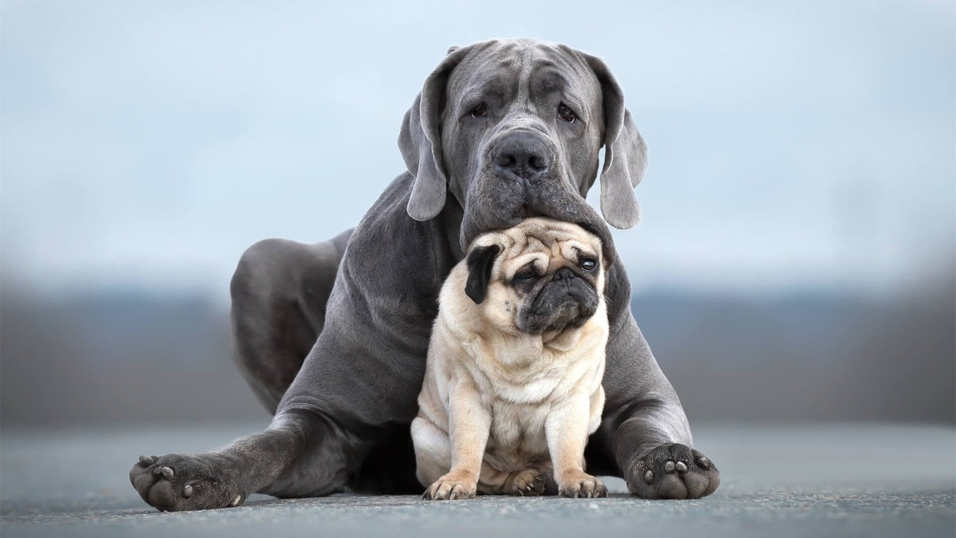 跨界的战术基因,NBA总决赛焦点战中的挪威式压制哲学