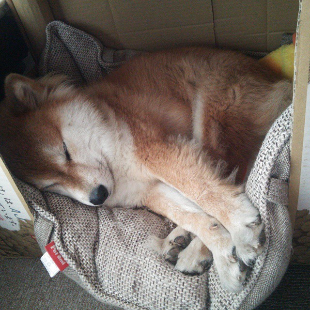 重返圣安东尼奥,唯有这一个名字,值得全军礼敬