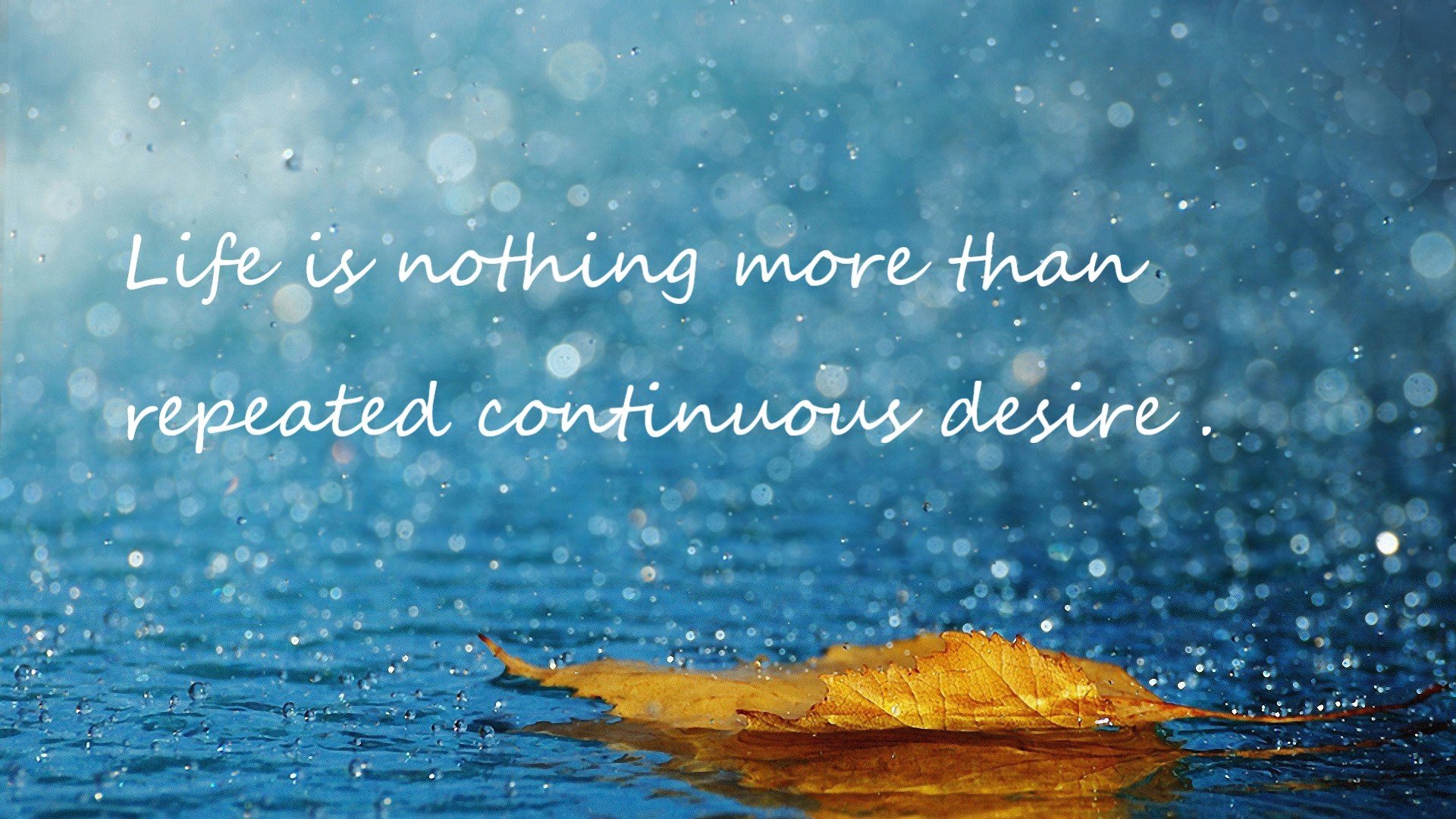 并行奇迹，当阿尔及利亚跨越瑞士，布鲁诺在巴林点燃引擎—竞技之神在同一时空的双重奏