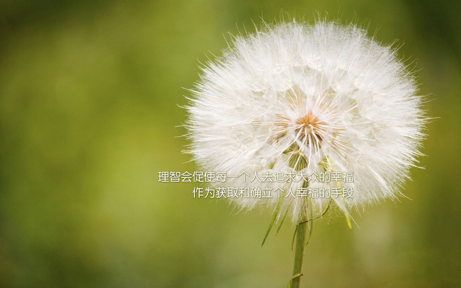 阿圭罗天神下凡！友谊赛变传奇之战，摩洛哥钢铁防线被他一人击溃