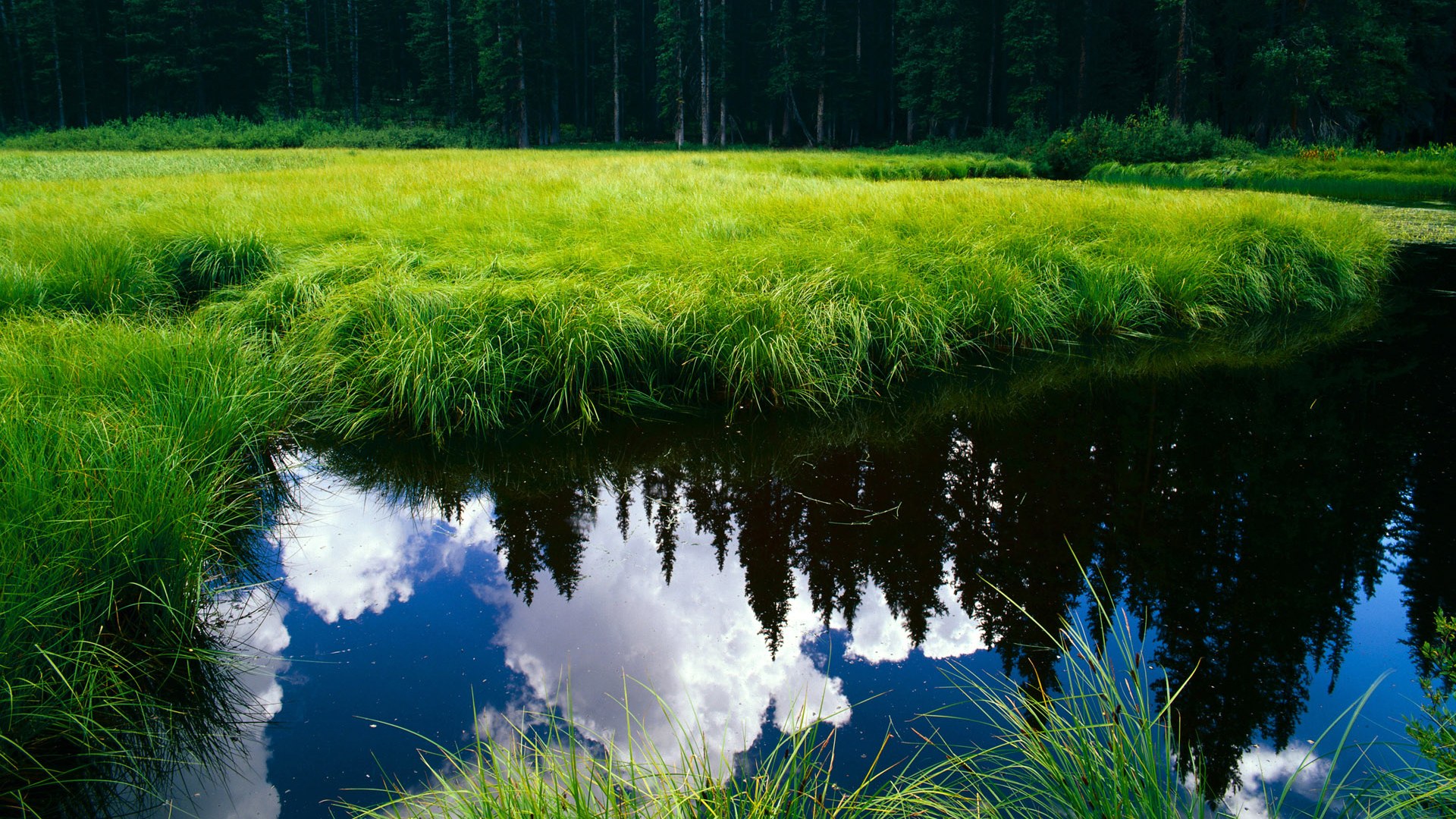 定鼎之夜，戈贝尔的火热状态如何成为法国男篮奥运周期的战略转折点