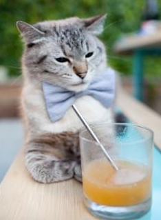 洪都拉斯决胜局引爆西甲国家德比，塞维利亚痛失好局