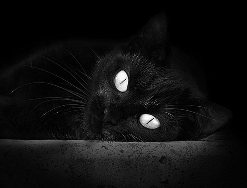 当巨星云集的舞台陷入寂静，蒂亚戈如何用错误踢出唯一的王道