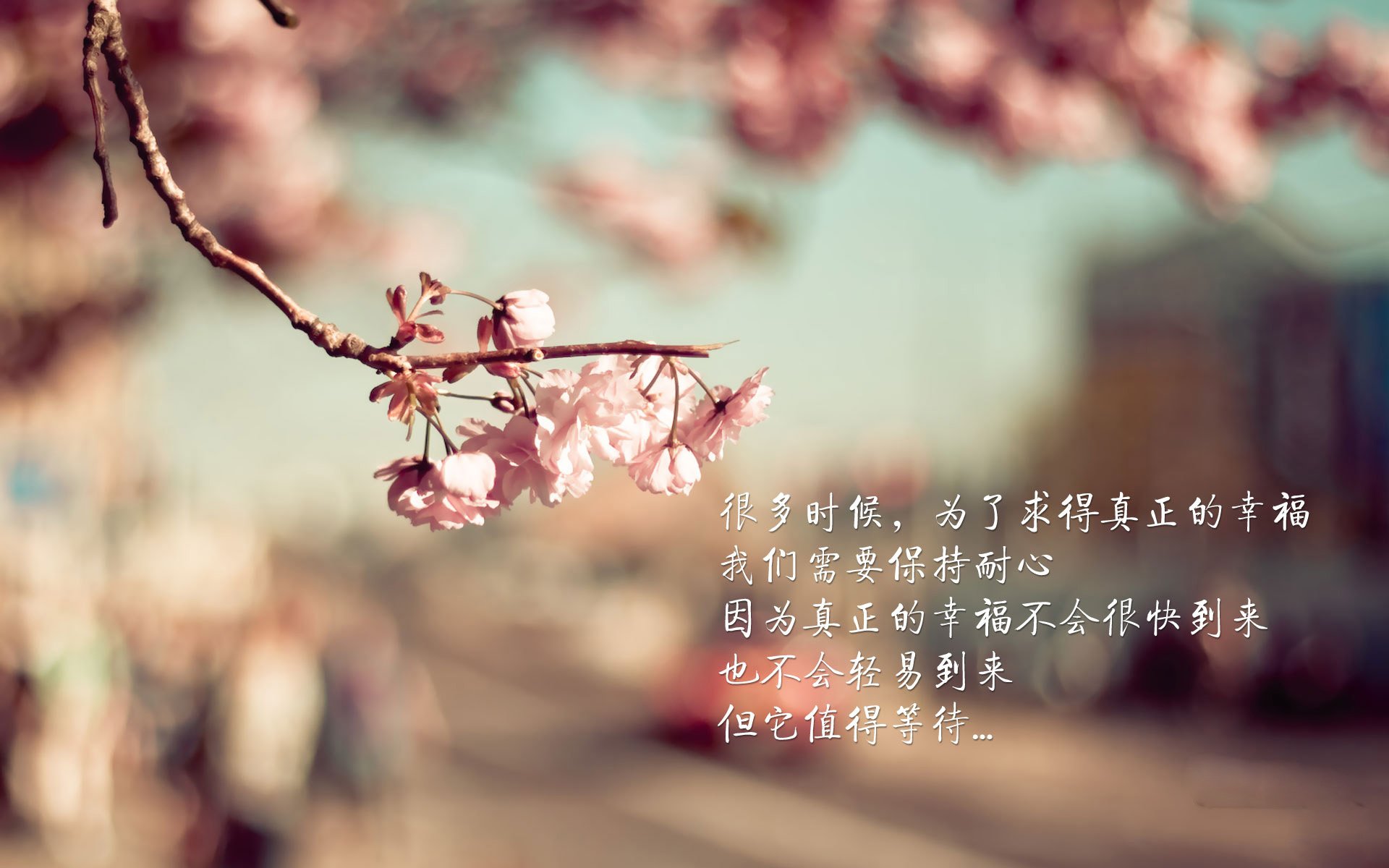 中场定乾坤,2026世界杯E组生死战,瑞士绝杀阿根廷,久保建英的统治级表演